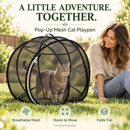 🔥 Today 50% Off!!!🐱360° Panoramic Pop-Up Rolling Cat Playpen Ball🐾
