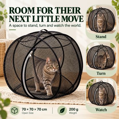 🔥 Today 50% Off!!!🐱360° Panoramic Pop-Up Rolling Cat Playpen Ball🐾