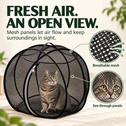 🔥 Today 50% Off!!!🐱360° Panoramic Pop-Up Rolling Cat Playpen Ball🐾