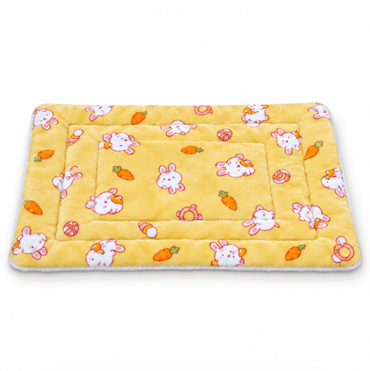 Cozy Naps Start Here — Soft Quilted Dog Sleeping Mat
